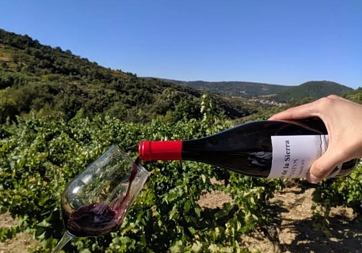 dominio de la sierra en DO Sierra de salamanca